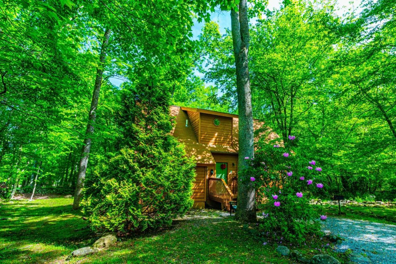 Bear Footin' On The Creek Villa Gatlinburg Luaran gambar