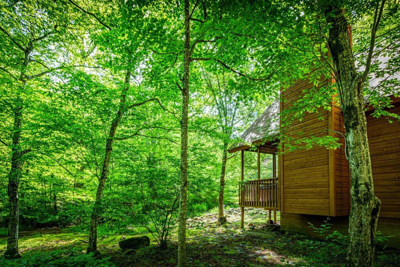 Bear Footin' On The Creek Villa Gatlinburg Luaran gambar